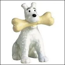 Je mange les os. Qui suis-je ?