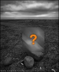 Que sont-les  Demoiselles de Cherbourg  ?