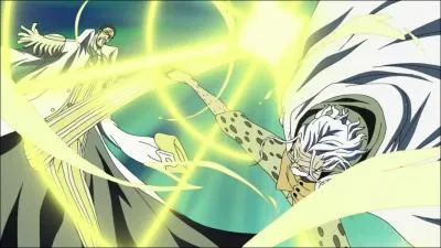 Où se situe la cicatrice de Rayleigh ?