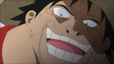 Quelle est la prime du pirate se faisant passer pour Luffy ?