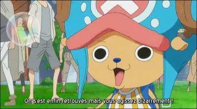 Avec quoi le pirate se faisant passer pour Robin essaie d'attirer Chopper ?