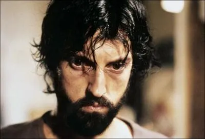 La pilosité du visage des hommes est variable selon les divers groupes humains, ainsi :