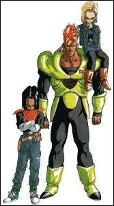 Lequel des ciborgs raffrontera l'quipe de Sangoku ( super c-) ?
