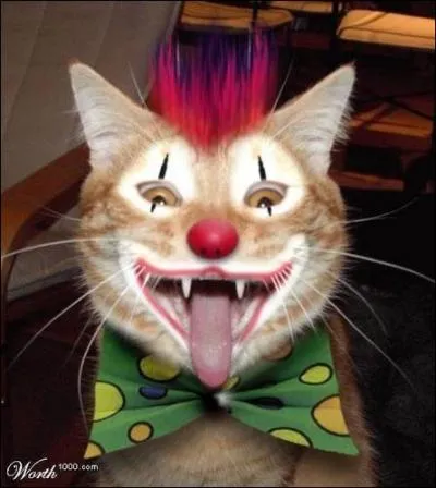 Et voici le chat Clown. En parlant de clown, quel tait le nom de famille du clown, qui se prnommait Achille ?