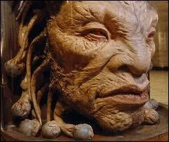 (Episode 3) Quel est le secret que Face de Boe a dvoil ?