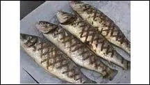 Quel est ce poisson, spcialit de Gironde, que l'on peut dguster grill sur des sarments de vigne ?