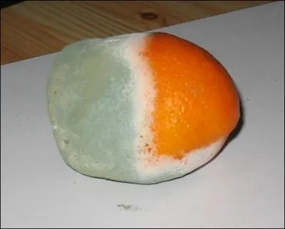 Quel est ce fruit bien pourri ?