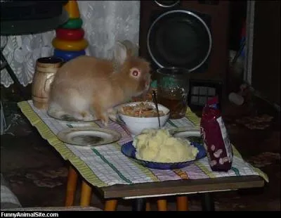 Il en a, a c'est sr !