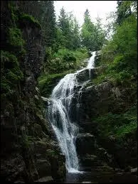 Combien faut-il d'eau pour produire un oeuf ?
