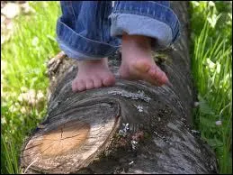 ''Marcher pieds nus dans la ville, en sandale dans la jungle
Tu sais l'mélange est facile, il suffit d'être simple 
Je suis une éclipse qui rencontre un solide 
Je suis fier d'être ... ''
