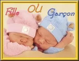 ''Mais toutes les chansons 
Racontent la même histoire 
Il y a toujours un garçon 
Et une fille au désespoir''