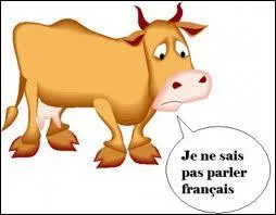 Quelle est cette expression ?