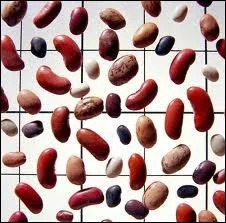 Quelle est cette expression ?