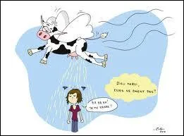 Quelle est cette expression ?