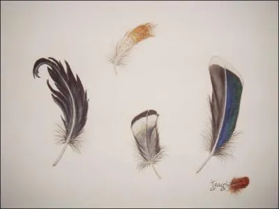 Qu'est-il illustr sur cette image ?