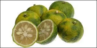 Connaissez-vous cet agrume d'origine asiatique ?