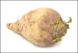 Comment se nomme ce lgume ?