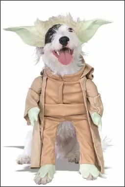 Le matre des chiens galactiques :