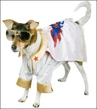 Il chante comme un chien et en plus il a la banane :