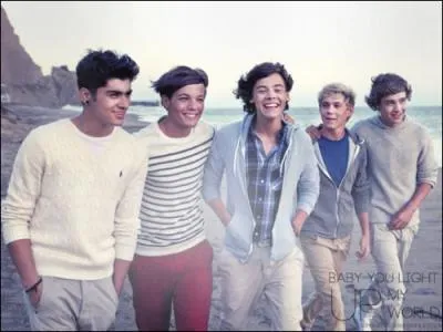 Lequel des cinq garons fume-t-il ?