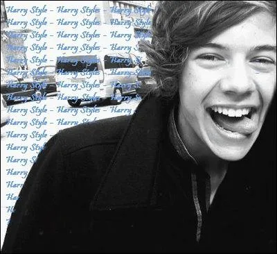 Lors de leur visite dans un ranch, Harry est mont sur un(e)...