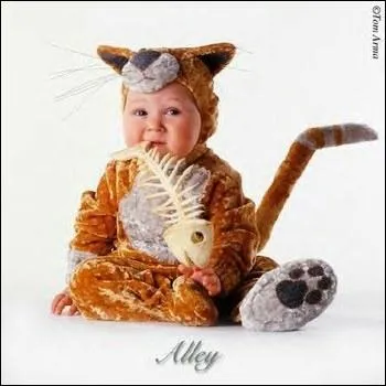 Arriveras-tu  deviner en quoi je suis dguis ?