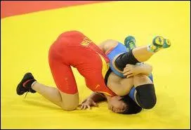 De quelle origine est la lutte ?