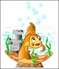 Comment s'appelle son petit poisson rouge ?