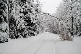 Quelle phrase est bien orthographie ?