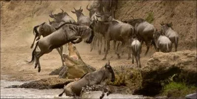 C'est la premire lettre du nom de la victime !