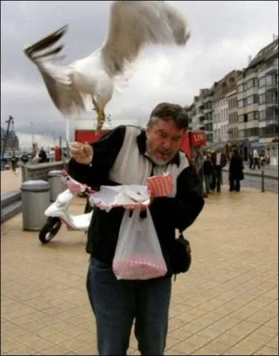 Evitez de manger des sardines et trouvez la dernire lettre de son nom !