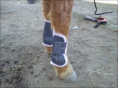 Comment s'appelle cet accessoire ?