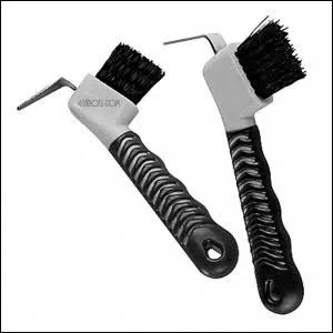 Comment s'appelle cette brosse ? (elles ont toutes les deux le mme nom)