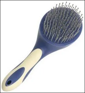 Comment s'appelle cette brosse ?