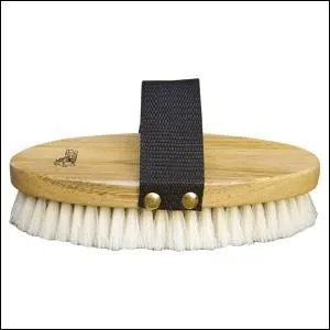Comment s'appelle cette brosse ?