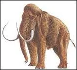 Quelle est la bonne orthographe ?