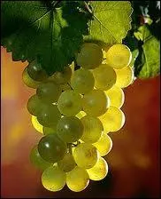 Quelle est la bonne orthographe ?