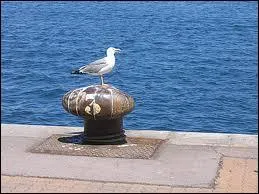 Quelle est la bonne orthographe ?