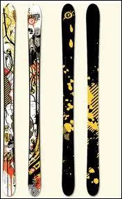 Quel animal est reprsent par ces skates ?