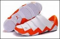 Quel animal est reprsent par ces chaussures ?