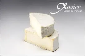 Le Brillat-Savarin est-il un fromage crmeux ?