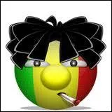 Quelle maladie peut-on attraper si l'on fume ?