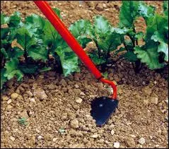 En quoi consiste le sarclage ?