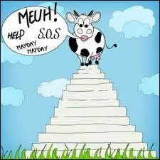 Si cette vache est monte l-haut trs vite :