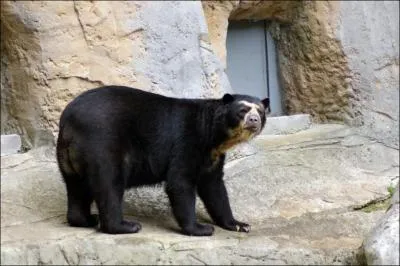 Celui-l est peut-tre plus facile...