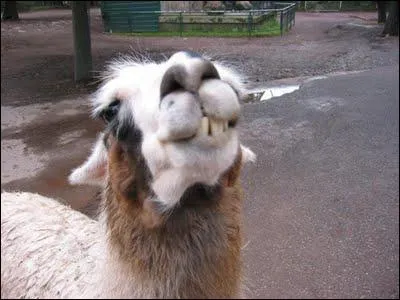 Elle vous a prvenues : Mesdames, souriez afin que plus tard, vos rides soient bien places !