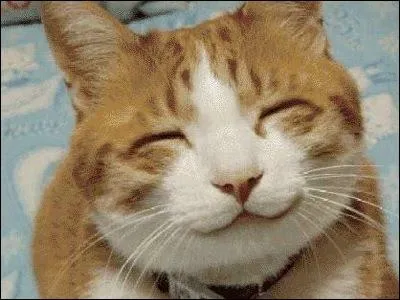 Pique la lune tait son surnom, il nous dit : Un sourire est souvent l'essentiel. On est pay par un sourire. On est rcompens par un sourire !