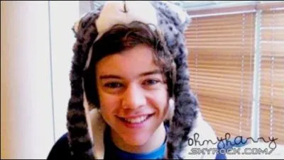 Que collectionne Harry ?