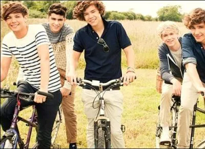 A quel endroit se passe le clip de  What Makes You Beautiful  ?