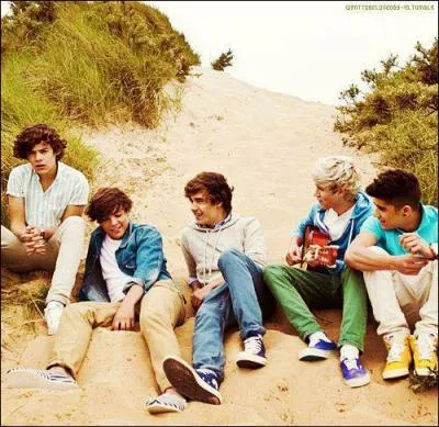 Avec quelle maison de disques les One Direction ont-ils sign ?